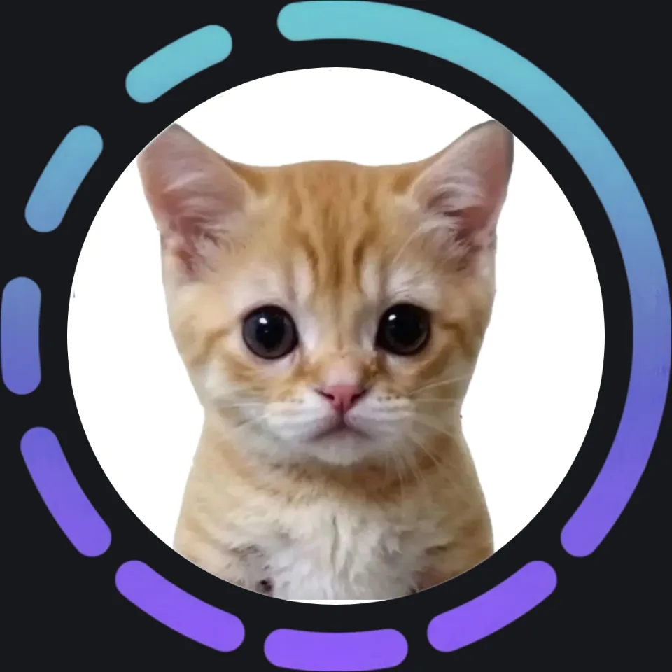 КОТЯТА ПОЯСНЯЮТ