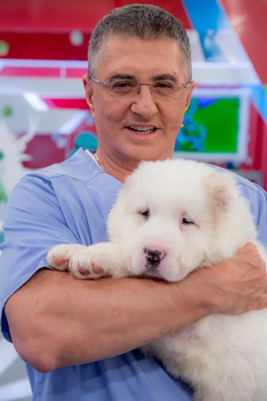 ДОКТОР МЯСНИКОВ (настоящий😁)