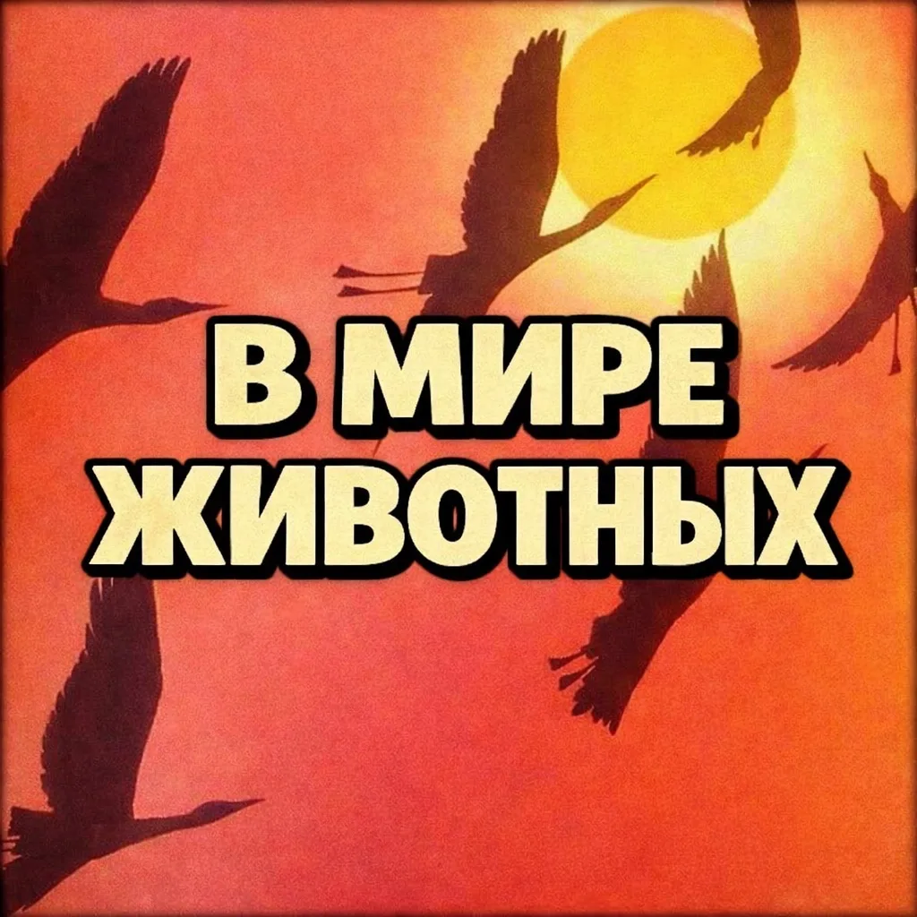 В МИРЕ ЖИВОТНЫХ 🐾