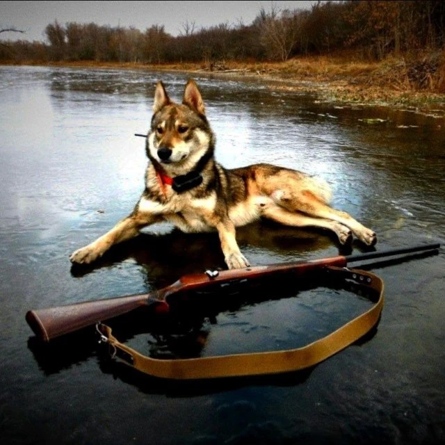 ОХОТА И РЫБАЛКА В РОССИИ