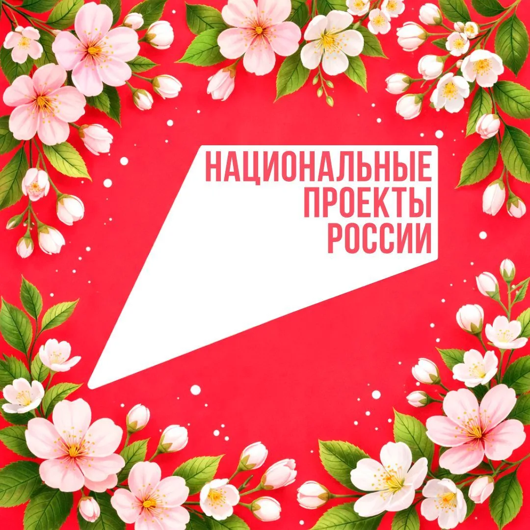 Национальные проекты России