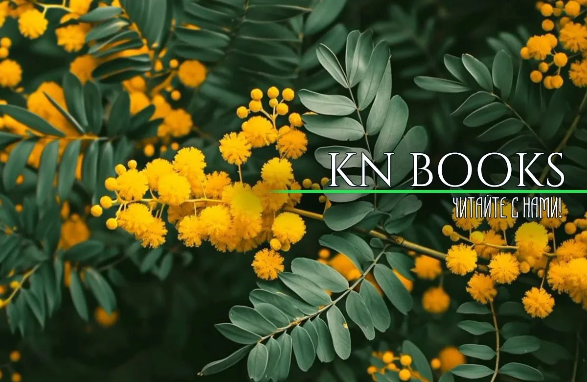 K.N Переводы книг