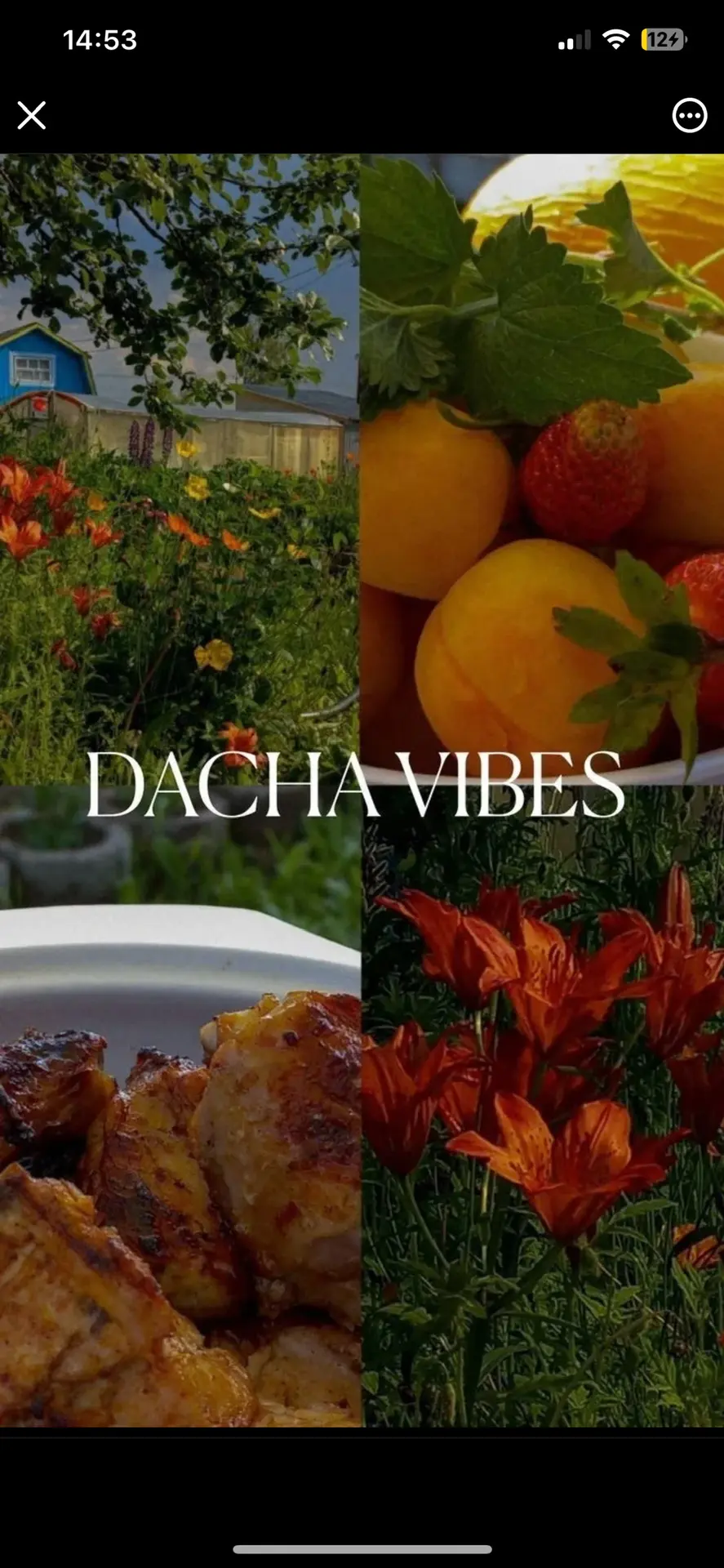 ДАЧНЫЙ ВАЙБ 🥗