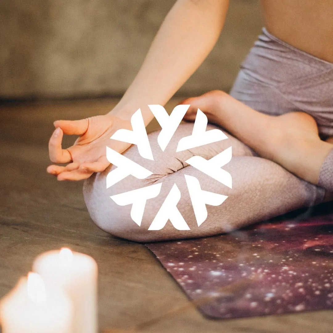 БАКАСАНА | У птиц нет границ