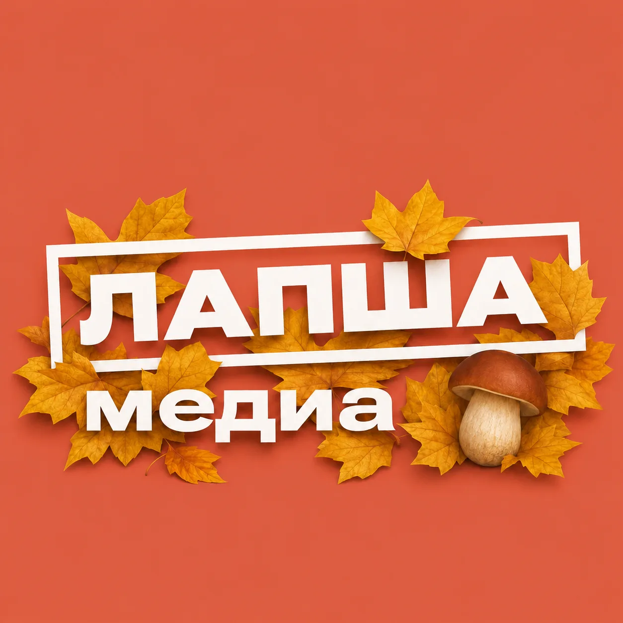 Лапша Медиа