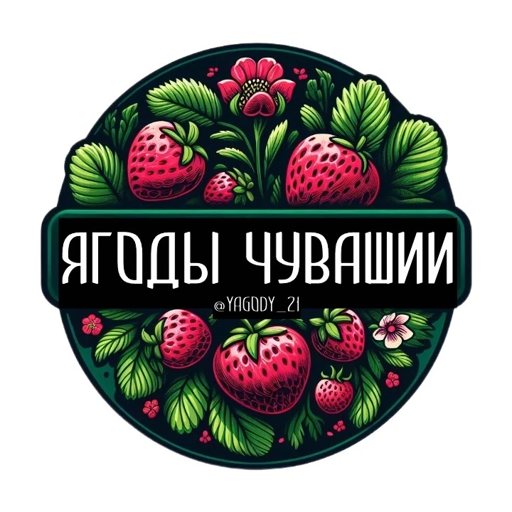 Ягоды Чувашии 🍓 Агроблог | Клубника | Рассада | Чебоксары
