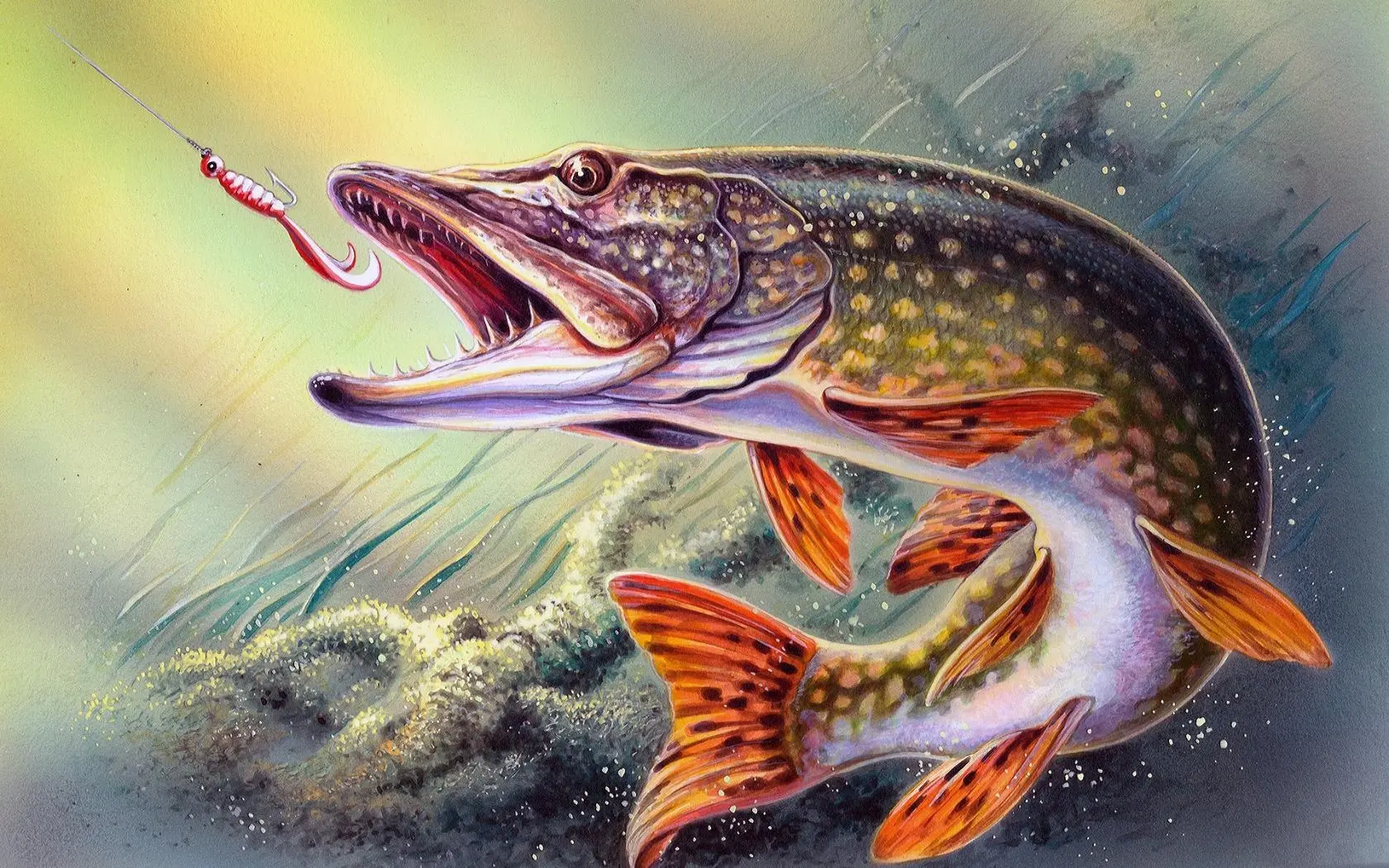 Рыбалка. Рыба. Рыбаки🎣