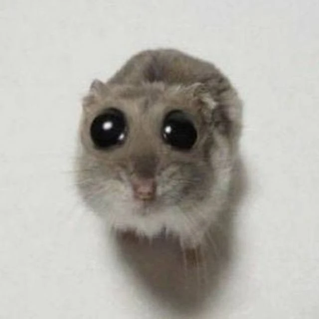Стикеры