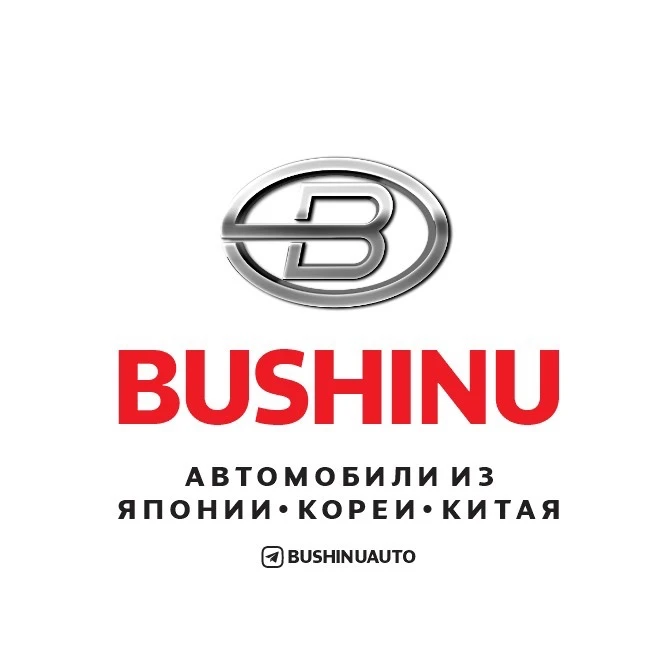 BUSHINUAUTO