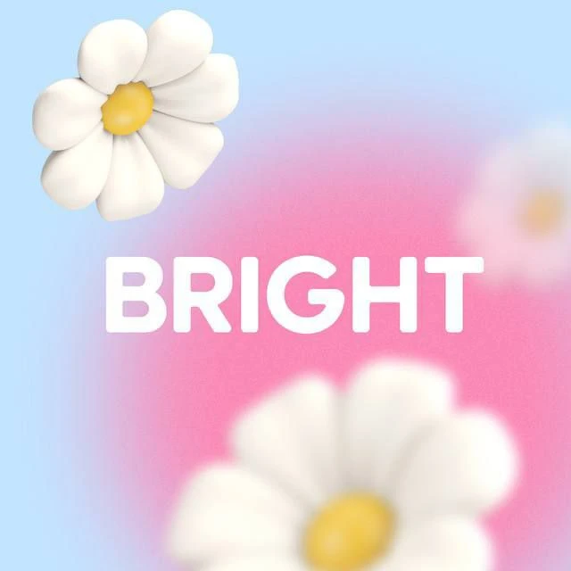 Bright Fit