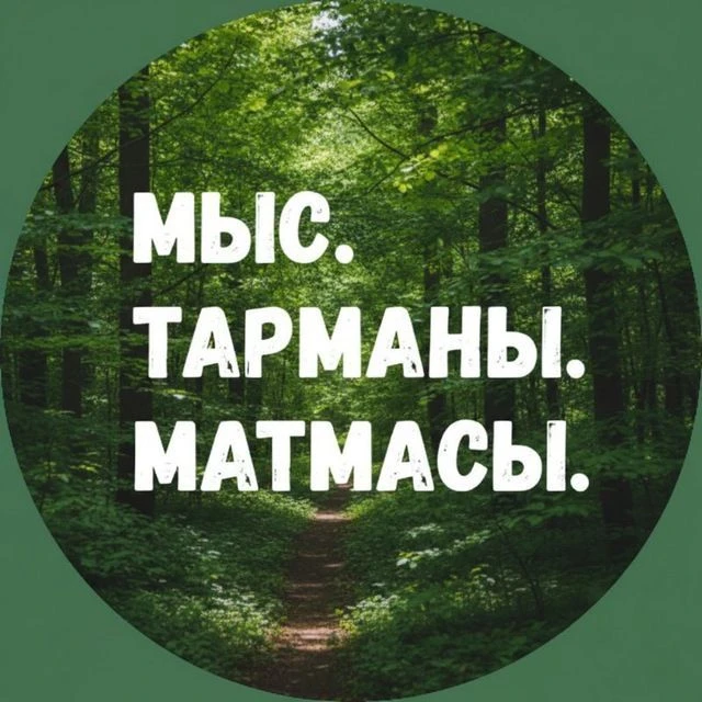 Мыс. Тарманы. Матмасы. Тюмень.